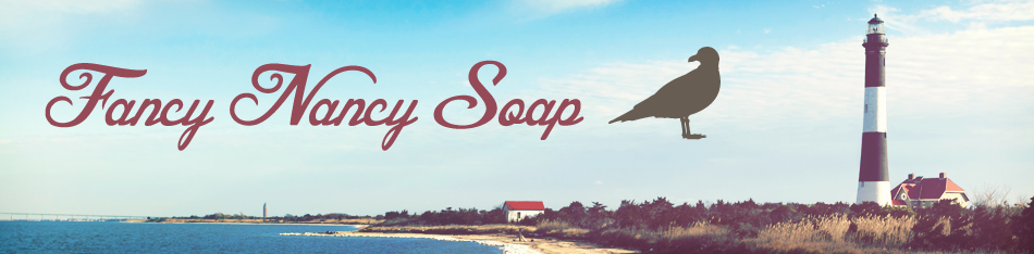 Logo Fancy Nancy Soap